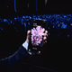 Illustration for article titled Samsungs Second Foldable Phone Is Finally Here: Meet the Galaxy Z Flip